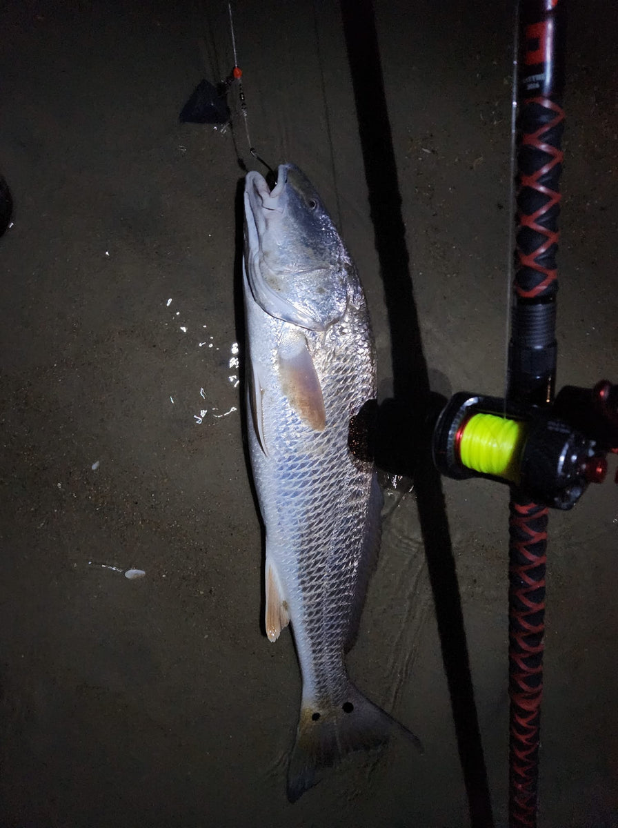 allcoast fishing reel Akios Fishing Reels