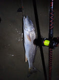 Akios 651 S-LINE Left Hand CSM GRX Reel