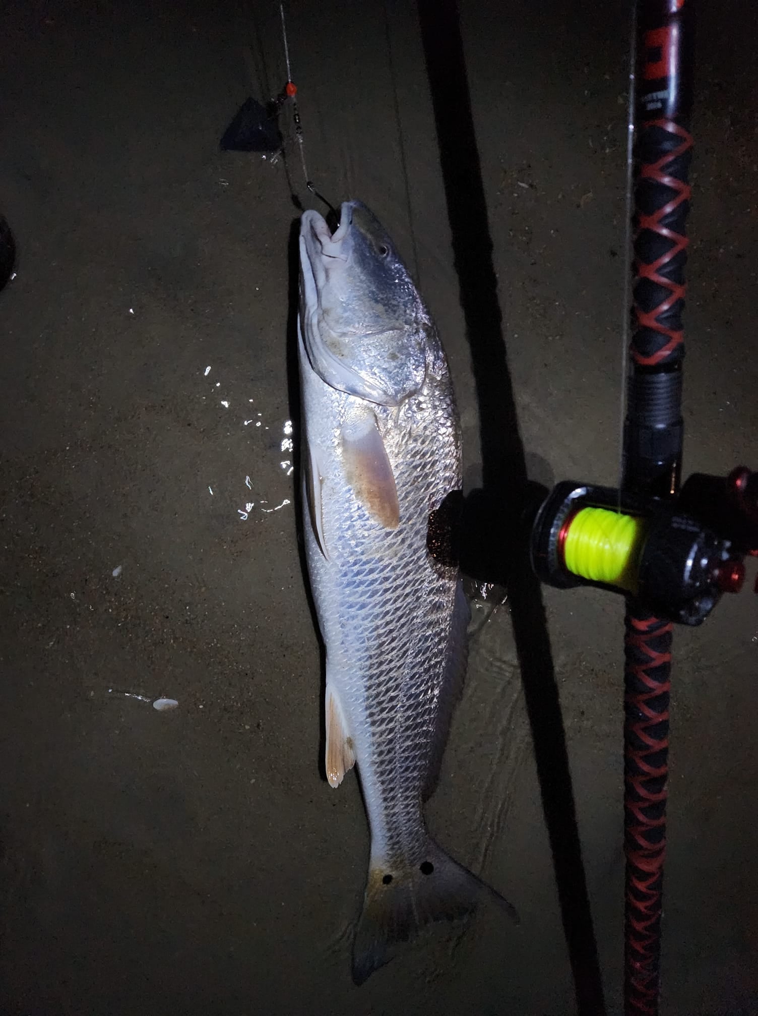 Akios Fishing Reels - Surf Reel 651 S-LINE Left Hand CSM GRX